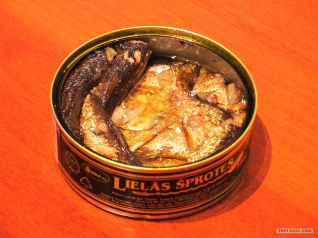 Пятничные посиделки на теплотрассе ©