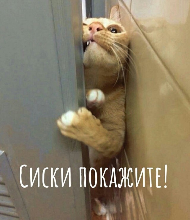 Маленькая подборка 05.09