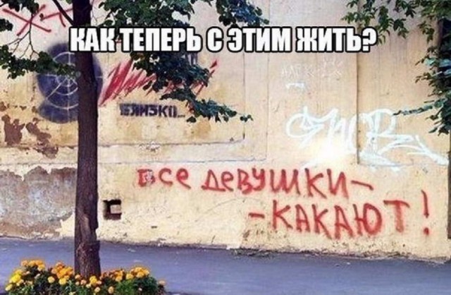 Картинки и мемы для настроения 17.11.2021