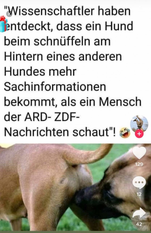 Так себе коронавирусные и не только картинки из Германии, часть 2