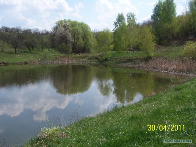 Зеленый (сельский) туризм в Моринцах (Украина)
