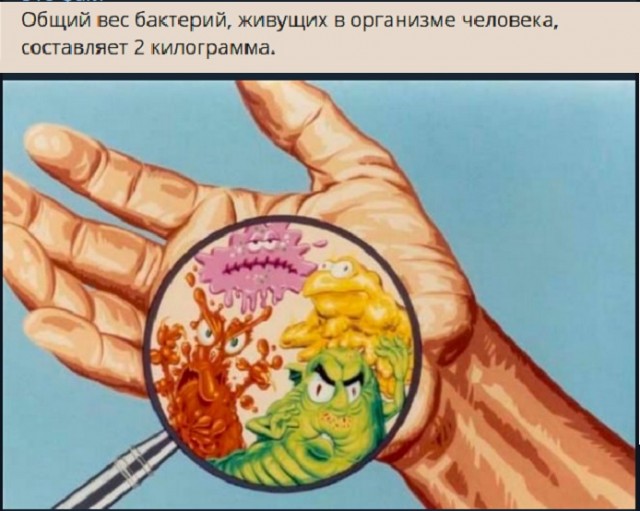 Картинки с надписями и всякие жизненные фразы