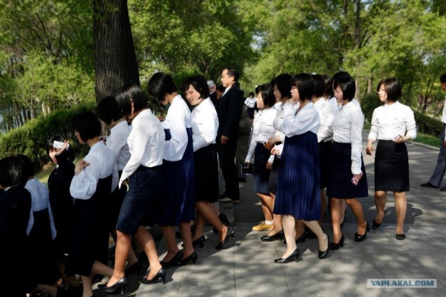 Северная Корея "в цвете"