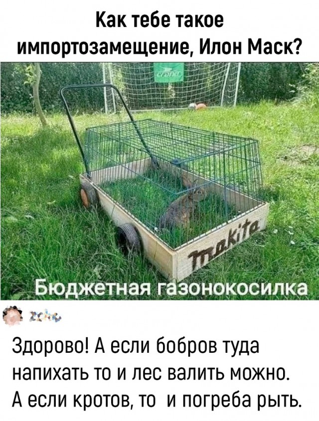 Так себе картинки 10.07.22