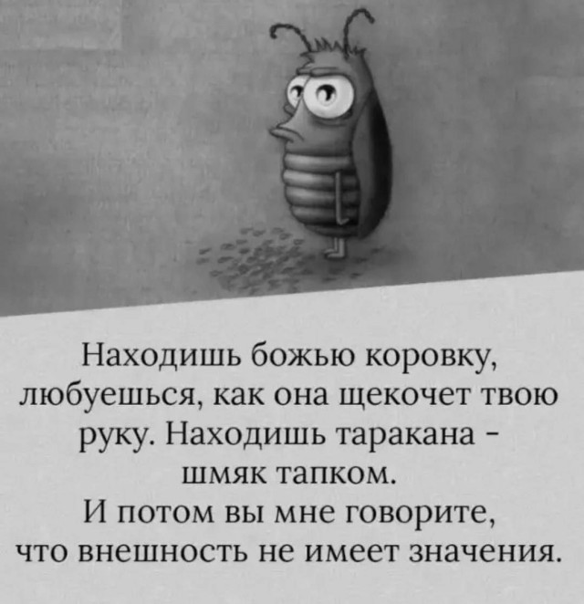 Картинки