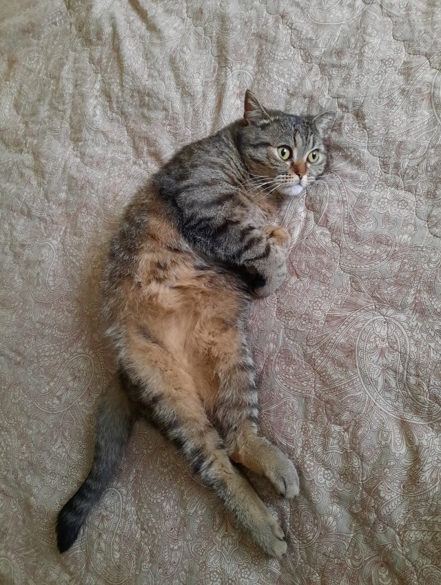 Завтра понедельник...