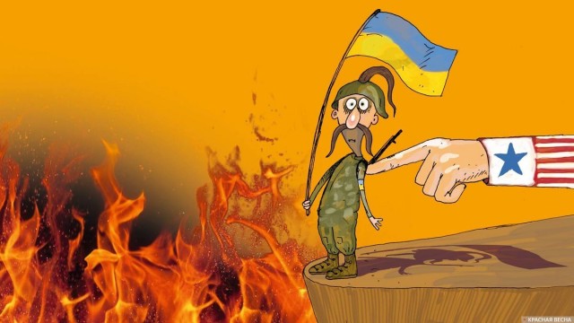 предложение Зеленскому