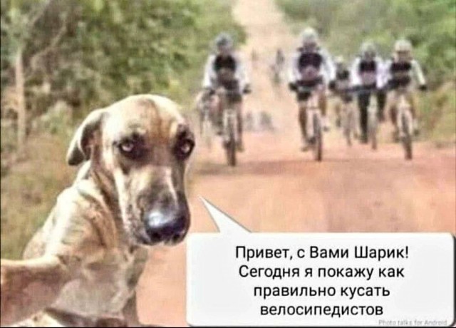 Картинки аморальные и всякие разные - 48
