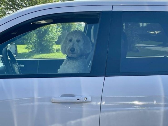 Подборка интересных и прикольных фото из Сети 01.04.23