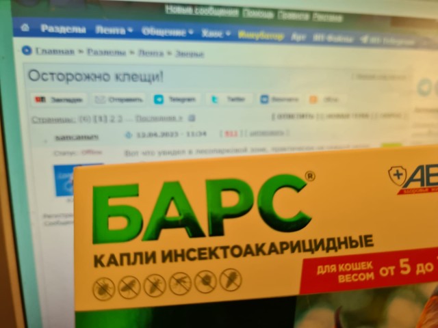 Осторожно клещи!