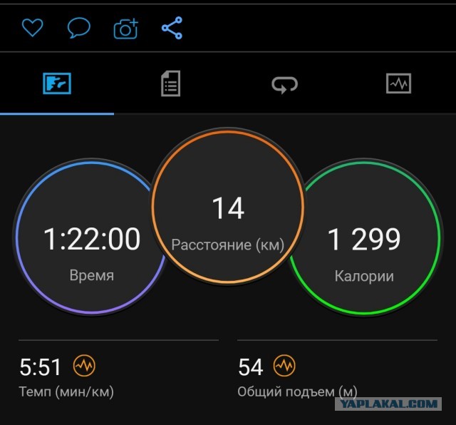 Победная поступь идиотизма по планете – том 12