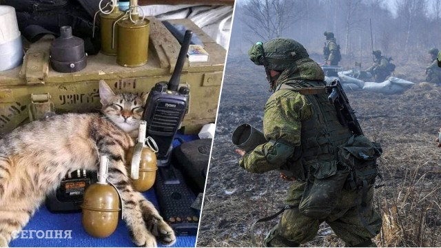 Подборка служебных собак