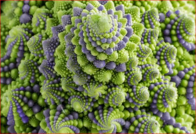 Победная поступь идиотизма по планете – том 15
