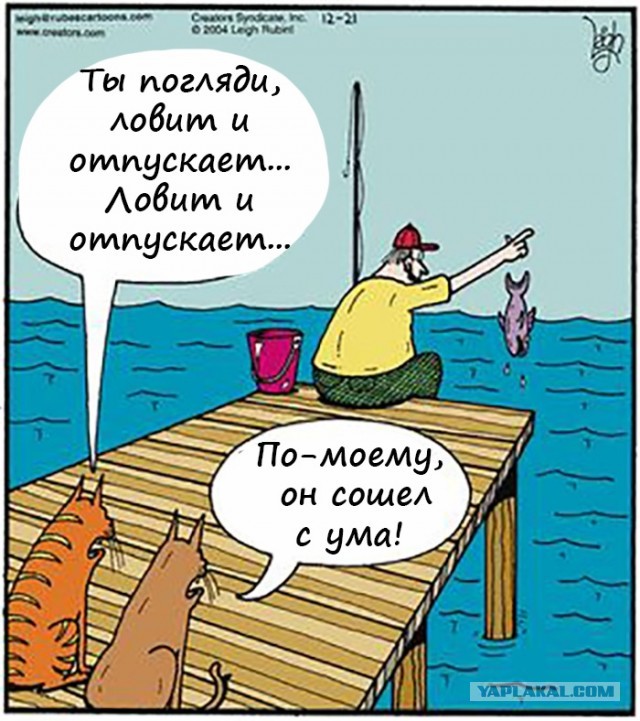 Забавные комментарии из социальных сетей (29.05.23)