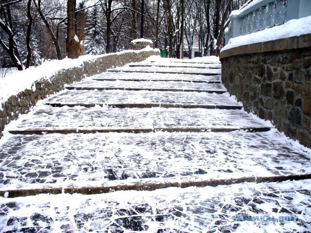 Мыльница