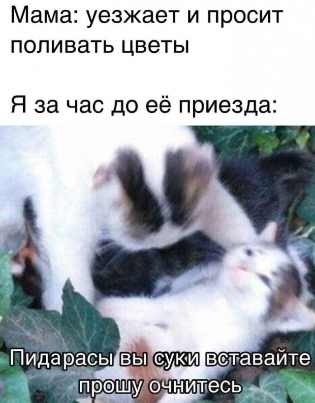 Всего понемногу. От 12.08