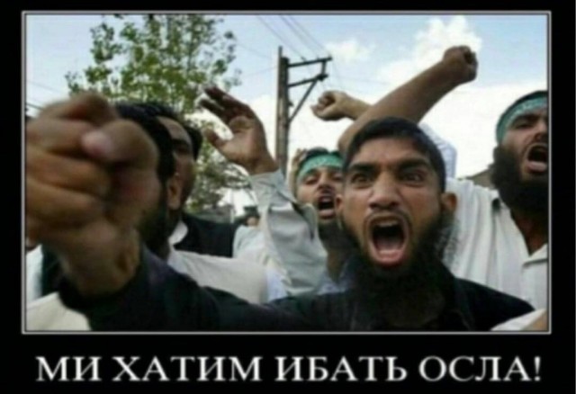 Выборы, выборы...