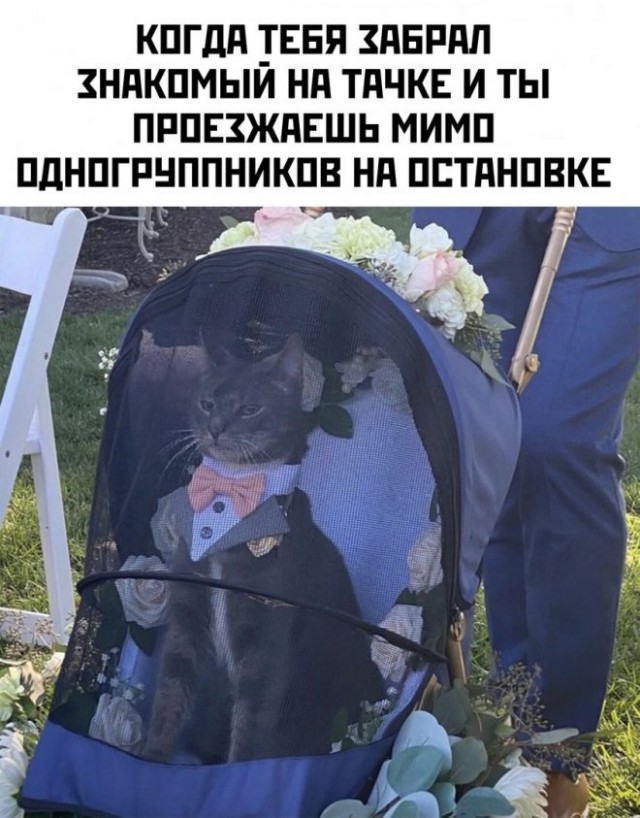 Юмор в картинках и без