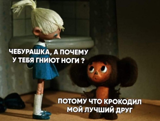 Народная меДИЧина 1006