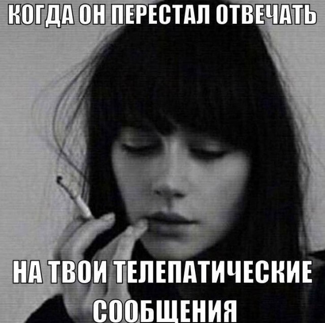Всего понемногу. От 30.11.23