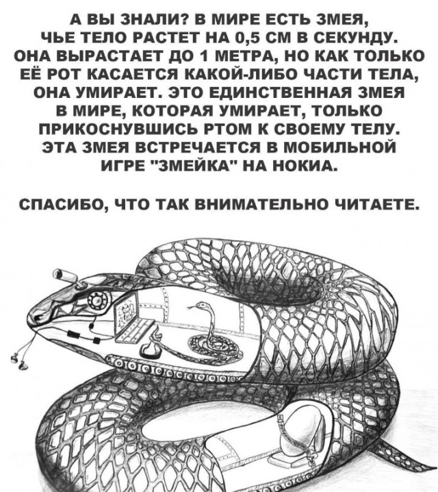 Всего понемногу. От 15.12.23
