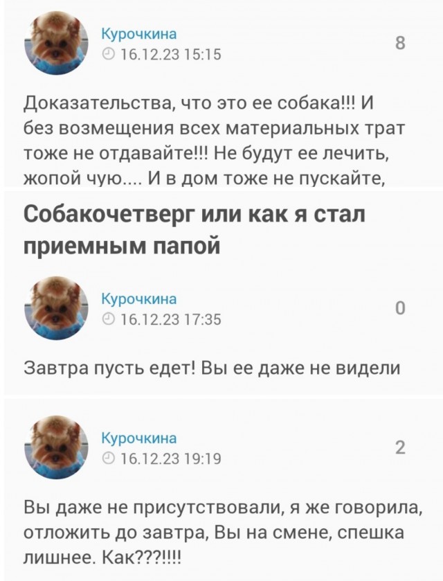 Собакочетверг или как я стал приемным папой