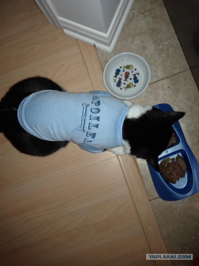 Почистил телефон