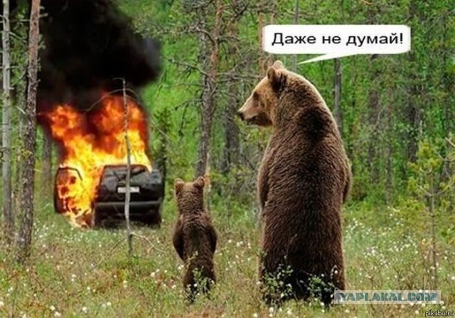 Очередная пьяная ТП