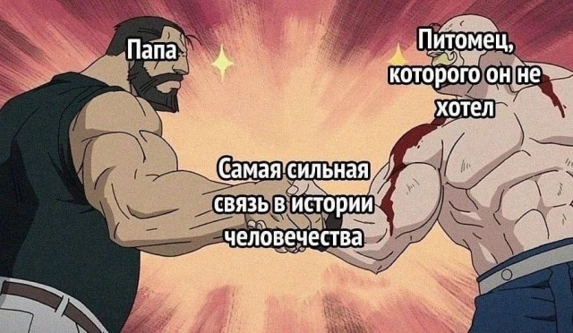 Завалялось тут случайно немного забавных картинок