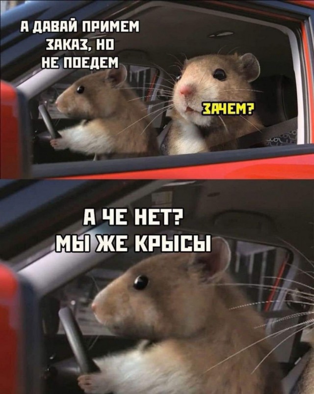 Суббото-баяно-лар