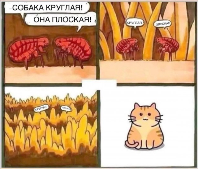 Завалялось тут случайно немного забавных картинок