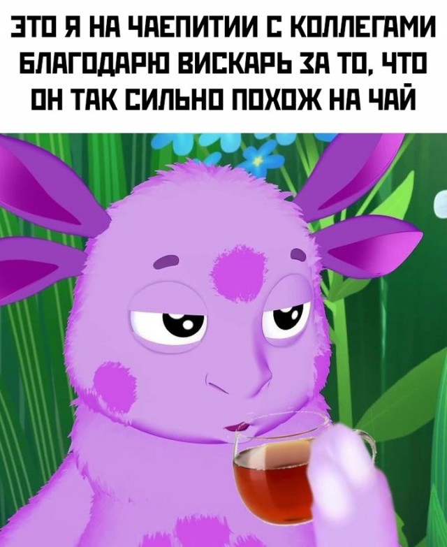 Весёлый полтишок 06.11.24