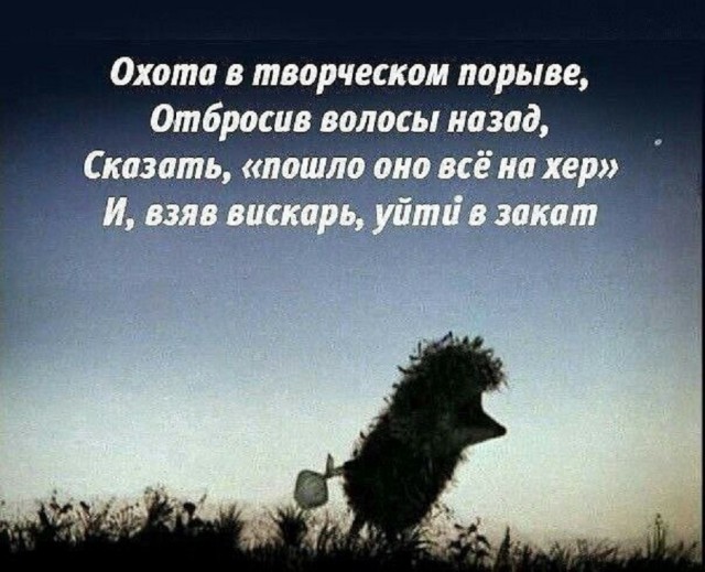 Так себе картинки 25.02.25
