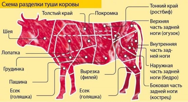 За расшифровку письменности назначен приз в 1 миллион долларов.