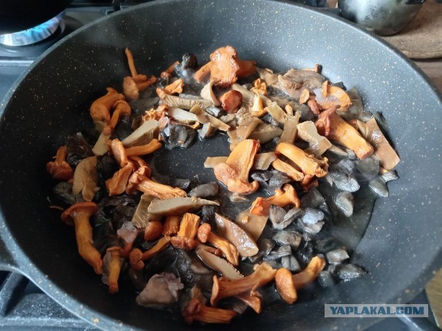 Солянка постная грибная