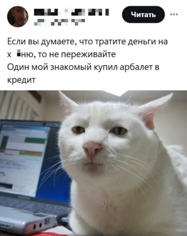 Веселые картинки в маленькую пятницу (09.04)