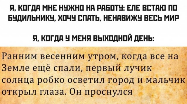 Веселые картинки в пятницу (23.05)