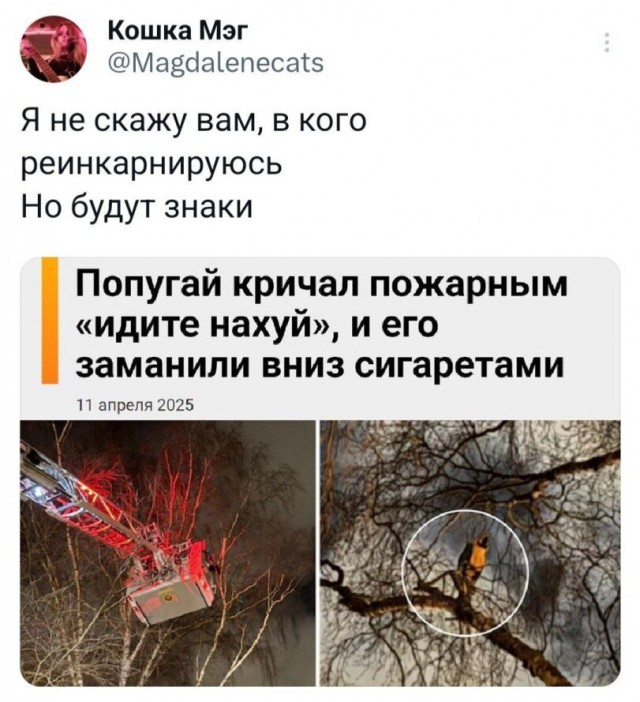 Деградильня