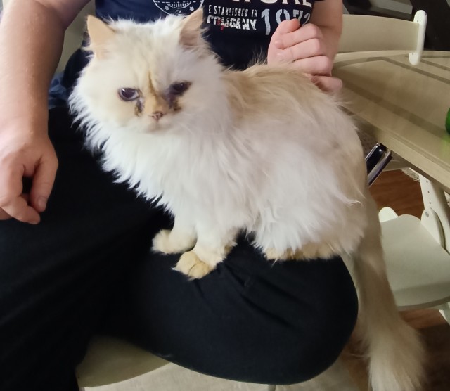 Старик