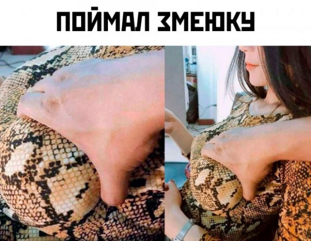 Веселые картинки в пятницу (18.02)