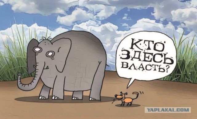 Глава МИД Польши угрожает России на Совбезе ООН
