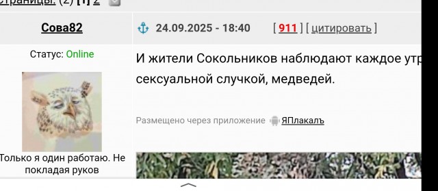 По ночам неизвестные делают экстравагантную расстановку скульптур