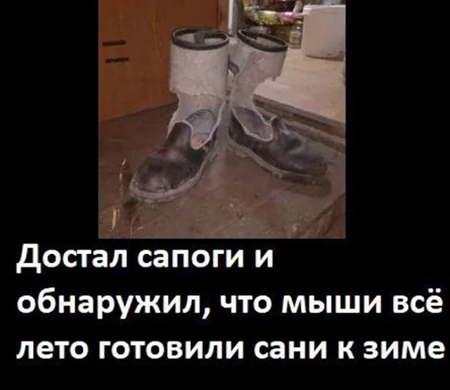 Прикольные и просто красивые картинки 17.10.2025