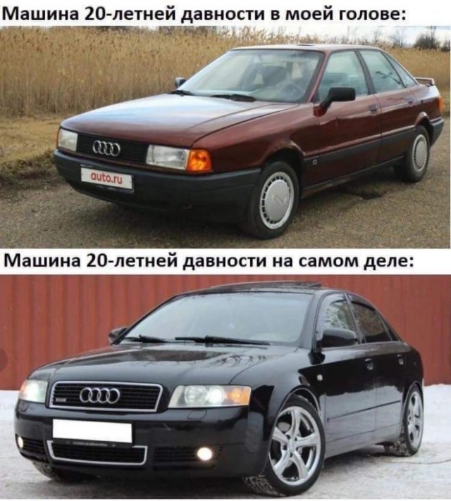Веселые картинки в пятницу (03.02)