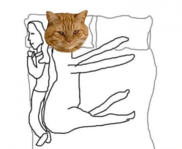 Картинки для деградации 87 (разной степени свежести)