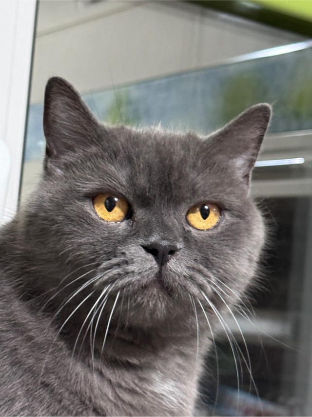 Четкий план нападения