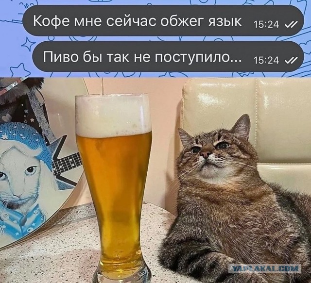 Сегодня отмечается День лёгкого пива и Международный день здоровья