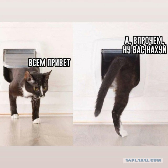 *БАЯН*40 лет, отмечать или нет?