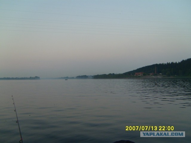 Как ловить леща на кольцо