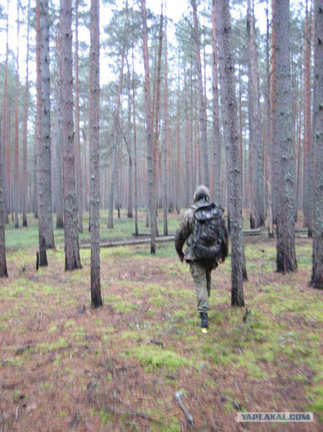 Хобби живёт вопреки.